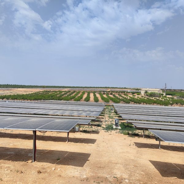 Parque Torrontera II