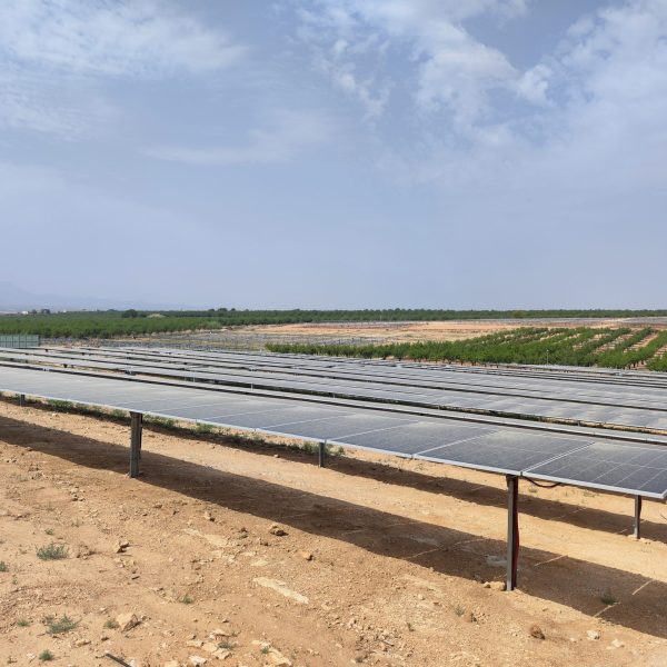 Parque Torrontera II