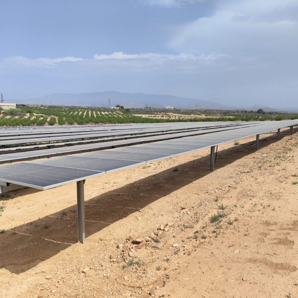 Parque Torrontera II